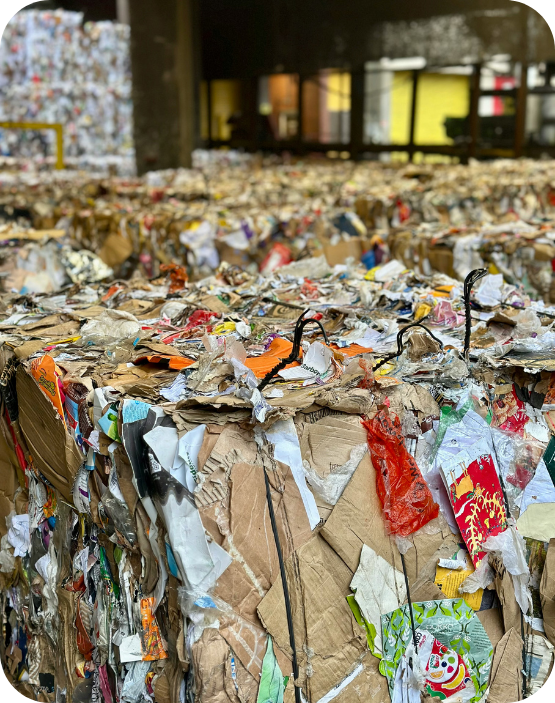 Selección y Clasificación