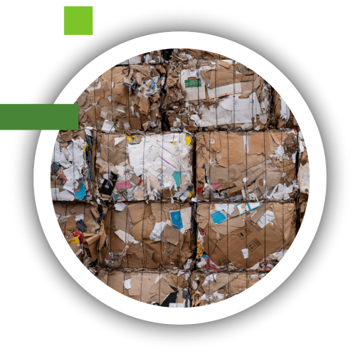 20251014_Fotografías1_Página_Web_Recilab